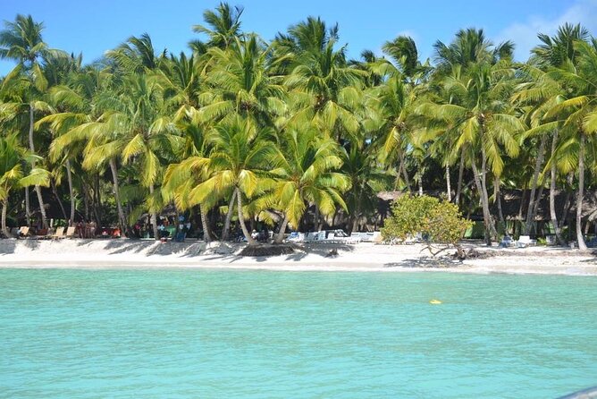 Tour to Saona Island with Lunch and Transportation - Three hours on Saona Island