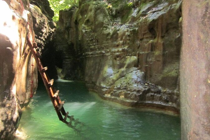 Tour To The Damajagua Waterfalls - A Dominican buffet that makes the half-day feel complete