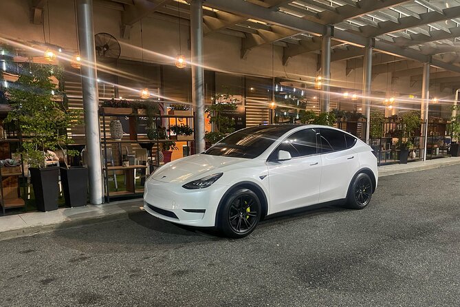 Transfer in Tesla from SDQ Airport to Santo Domingo - Help beyond the car door