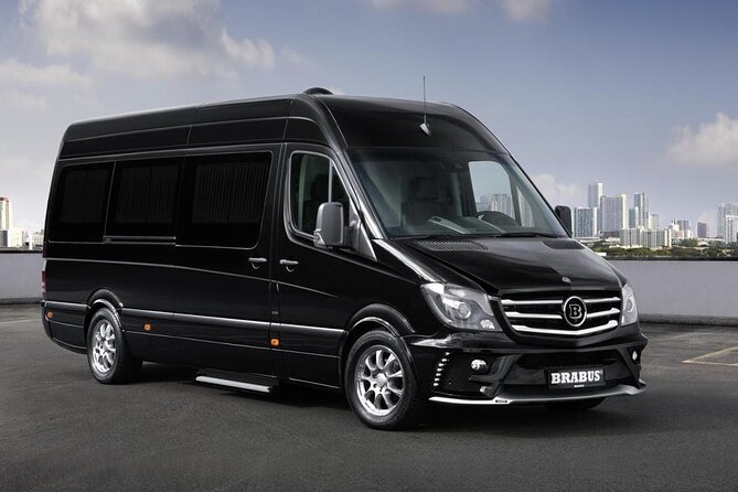 Transportation Private Punta Cana Airport And Hotels - Meeting Your Driver at Punta Cana Airport
