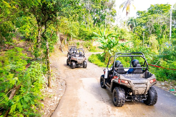 Triple fun! Monkeyland + Damajagua Waterfalls + Buggies from Puerto Plata - Why this Puerto Plata combination works