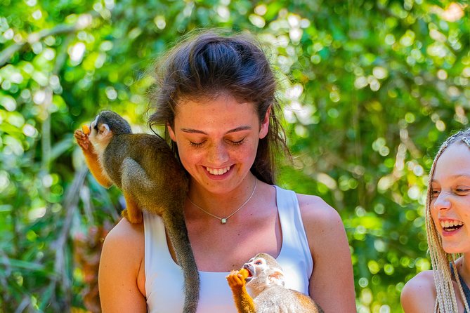 Triple fun! Monkeyland + Damajagua Waterfalls + Buggies from Puerto Plata - Starting in an open-air safari truck