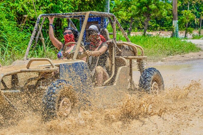Tropical Buggy Tour to Water Cave and Macao Beach - Coffee, chocolate, mamajuana, and cigars at the farm