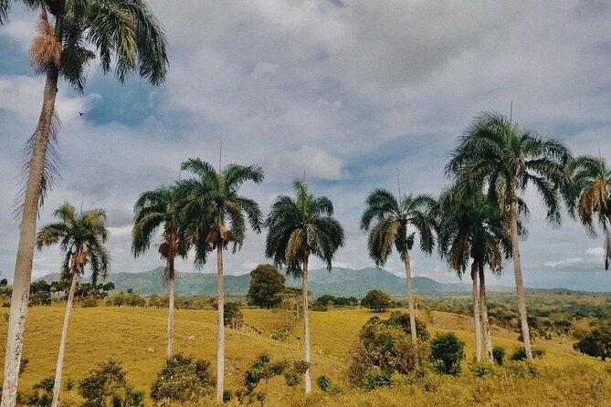 Tropical Escape Tour - Price, group size, and the real value