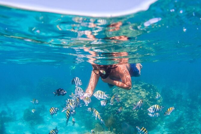 Tropical Punta Cana Booze Cruise – Snorkel, Sandbar & Party Vibes - Weather, Comfort, and Group Size