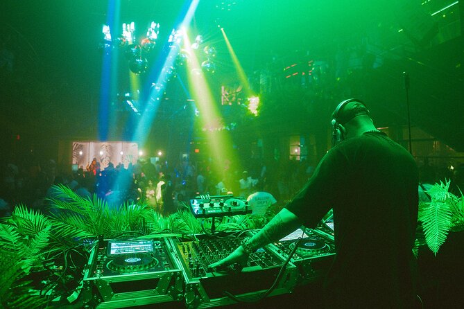 Tropicalia Disco – Party Night – Nightclub - Key points before you book