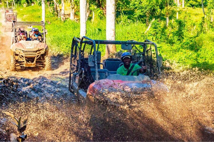 Ultimate Buggy Expedition from Punta Cana with blue cenote - Driving through farms, palms, and tobacco country