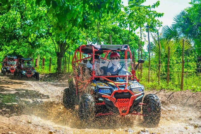 Ultimate Dune Buggy and ATV Adventure with Cenote, Beach & Ranch - Key things to know before you book