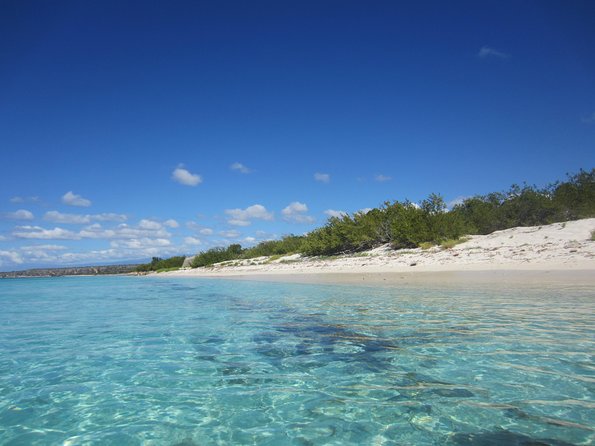 Untouched Paradise – Bahía de Las Águilas - Is $266 a Fair Price?