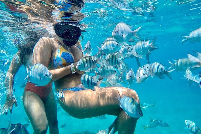 VIP Fascinating Boat Ride & Snorkeling at Sosua Bay - Key points to know before booking