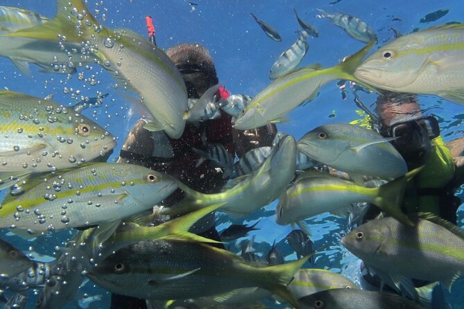 VIP Fascinating Boat Ride & Snorkeling at Sosua Bay - Who should book this Sosua excursion