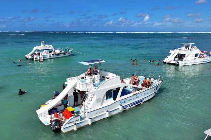 VIP Private Booze Cruise with Live Dj and BBQ in Punta Cana - Key points to know before booking