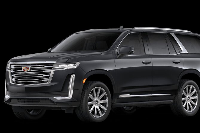 VIP Private Round-Trip Transfer from Punta Cana Airport - Families, groups, and special needs