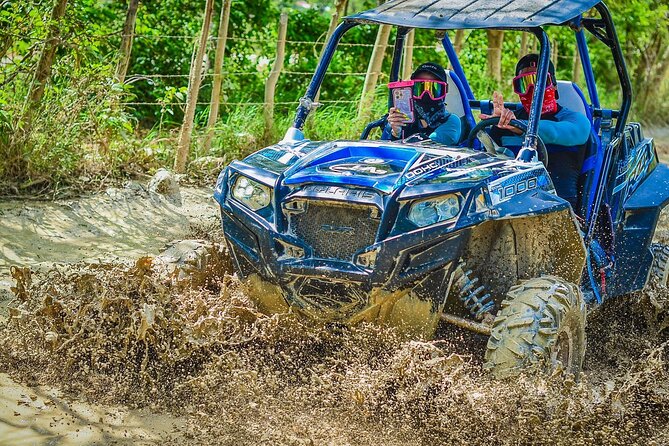Vip Punta cana Buggies - Coffee, cacao, and tobacco at Tours Point Ranch