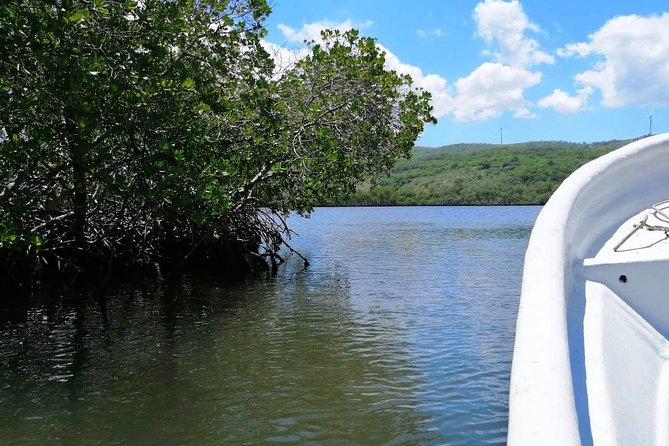 VIP tour to Paradise Island & The Mangroves - Lunch at Playa Ensenada