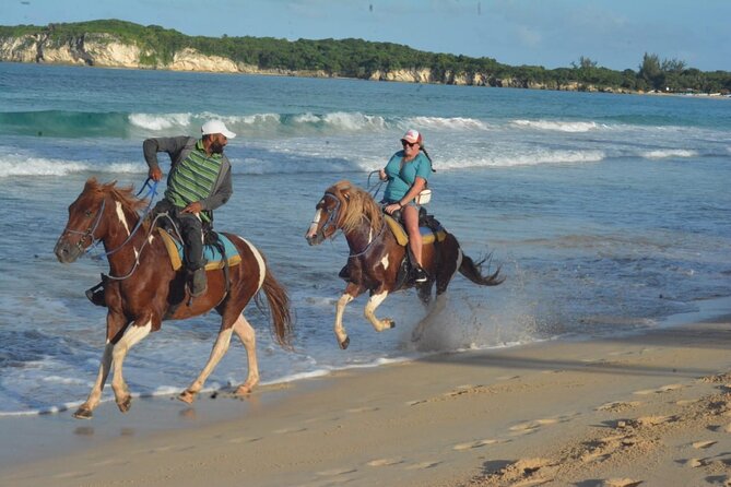Want to Learn to Gallop at Bavaro Punta Cana Beach! - From Rancho Un Regalo De Dios to the coast