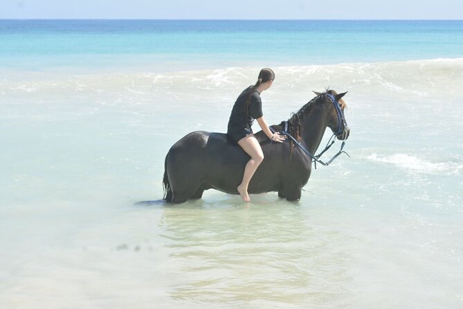 Want to Learn to Gallop at Bavaro Punta Cana Beach! - Heat, horses, and riding ability