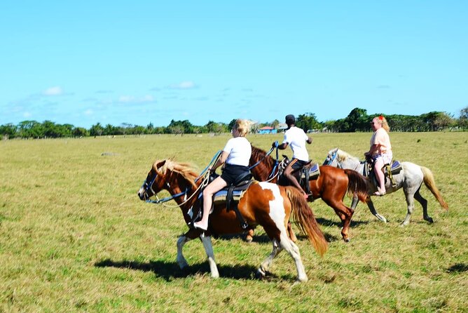 Want to Learn to Gallop at Bavaro Punta Cana Beach! - Pickup, timing, and group size