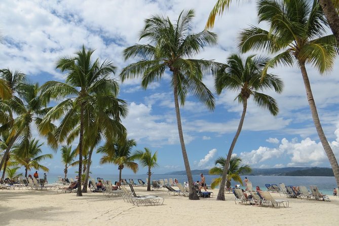 Whale Watching and Bacardi Island day trip from Punta Cana - The group size changes the feel of the day