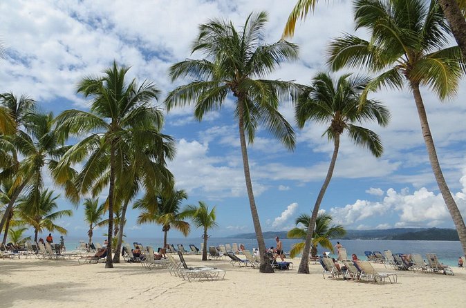 Whale Watching and Bacardi Island day trip from Punta Cana - Who will enjoy this Punta Cana day trip