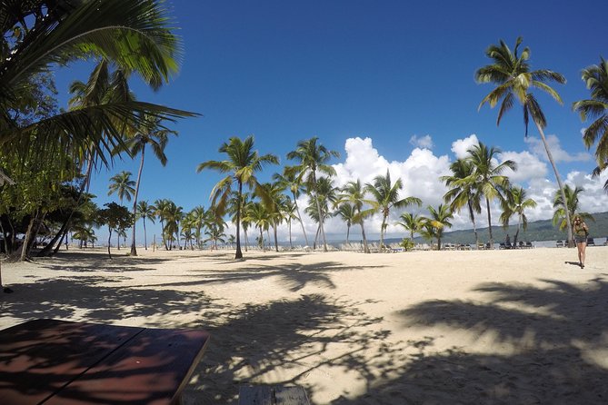 Whale Watching in Samana - Cayo Levantado gives the day a second purpose