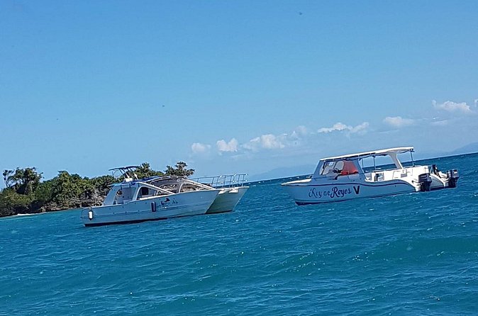 Whale Watching in Samana - How the $132.31 price measures up