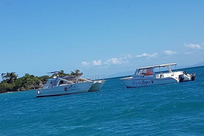 Whale Watching in Samana - Who will enjoy this full-day excursion