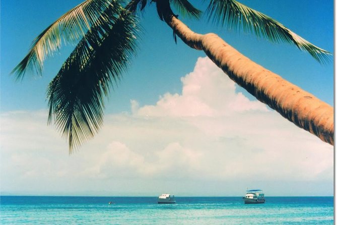 Whale Watching in Samana - Small details that make the day easier