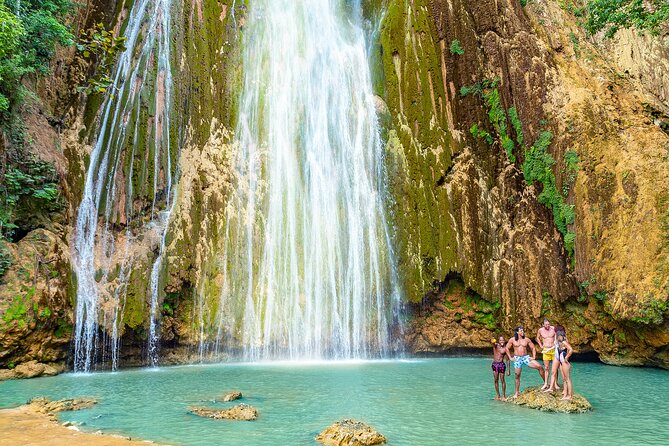 Whale Watching & Limón Waterfall Day Trip - Samaná Bay and the annual whale season