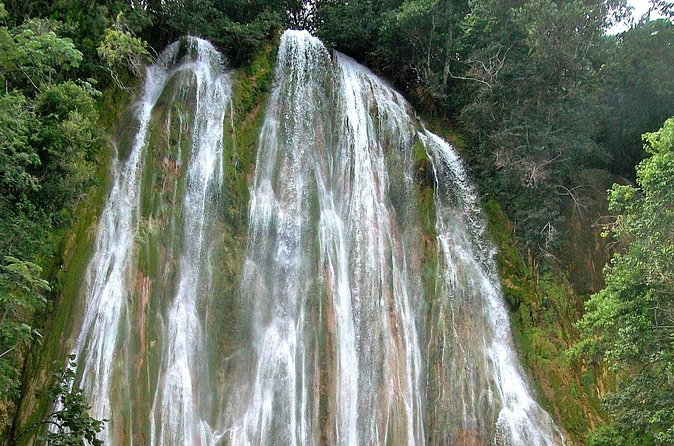 Whale Watching & Limón Waterfall Day Trip - A 13-hour day from Punta Cana