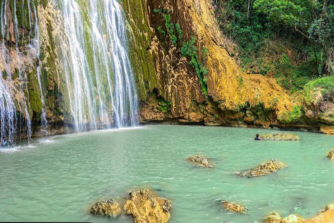 Whale Watching & Limón Waterfall Day Trip - Group size, pickup, and physical effort