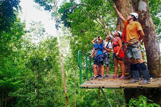 Zip Line - Half Day Adventure - What the guides add to the experience