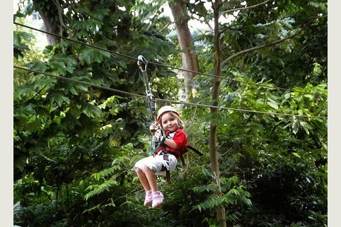 Zip Line - Half Day Adventure - Is $80 a fair price?