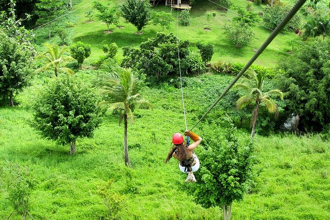 Zip Line in Punta Cana - The jungle walk to the first line