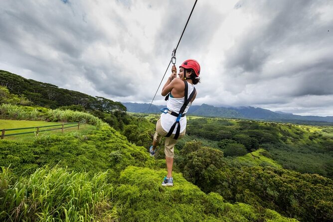 Zipline Adventure in Punta Cana – Thrilling Canopy Experience - What the 90-minute Punta Cana course is like