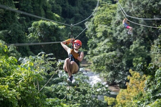 Zipline Adventure in Punta Cana – Thrilling Canopy Experience - How the $69.99 price holds up