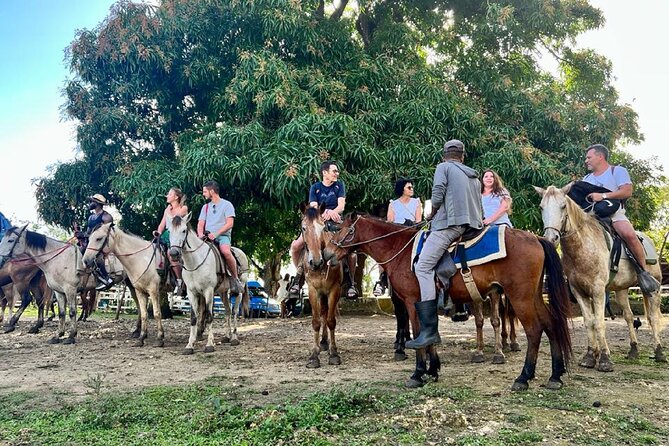 Zipline,Dune Buggy,Horse Riding - A short horseback ride through cocoa country